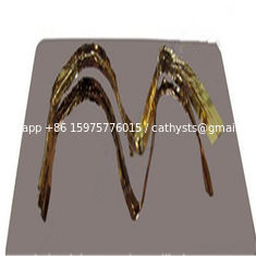 China China exporter Rose gold colored mirror stainless steel sheet 304L 316L for interior decoration supplier