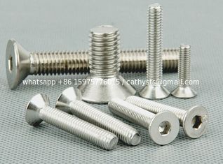 China stainless steel hexagonal flat head screw 201 304 grade supplier