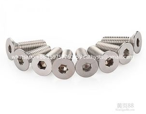 China stainless steel bolt/screws supplier