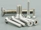 stainless steel bolt/screws supplier
