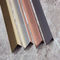 modern designed Stainless steel hairline finish flat bar in titanium color for wall panels trimmings supplier